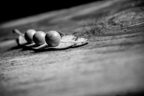 Warsztat samochodowy